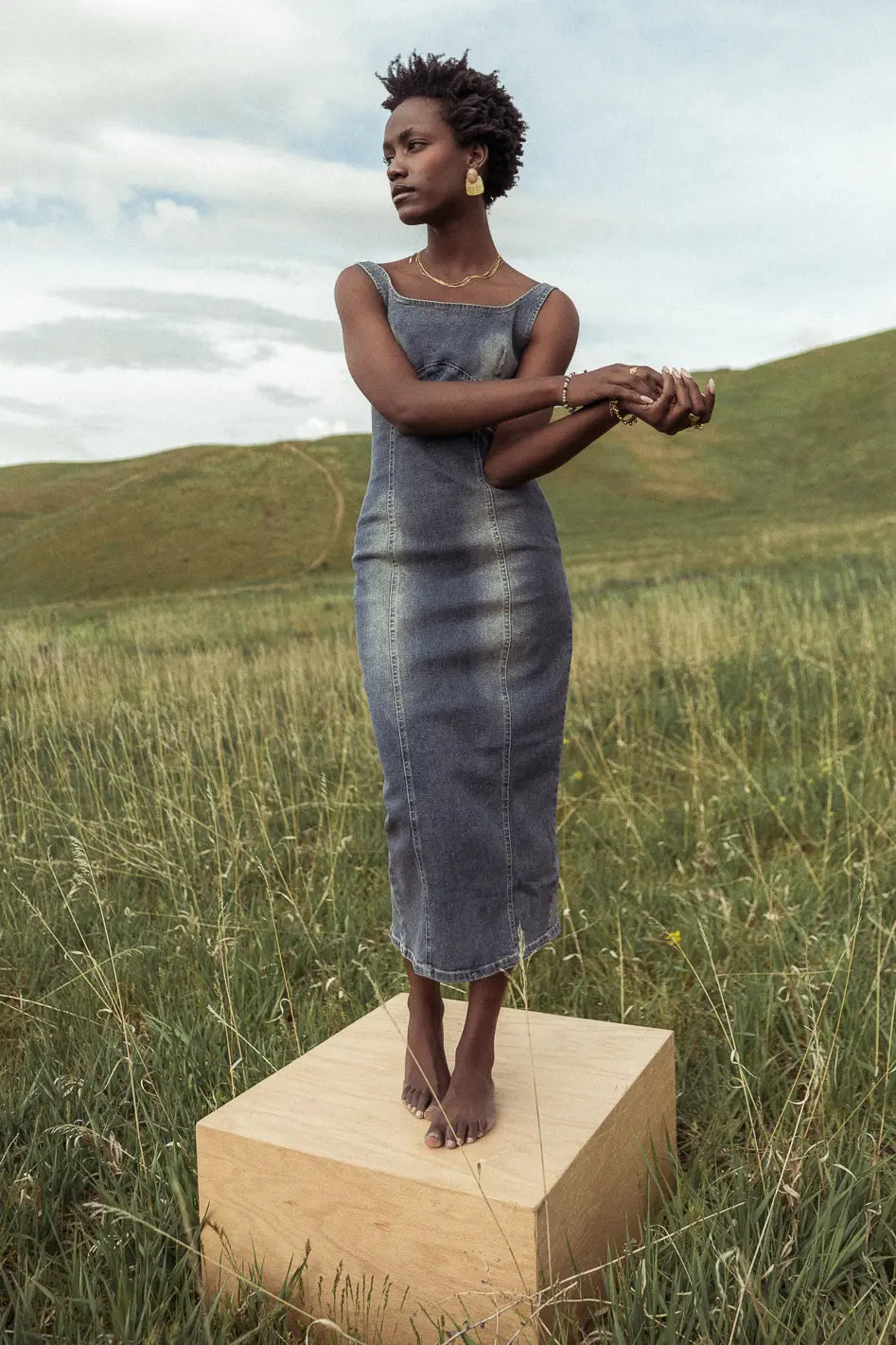 Valentini Denim Midi Dress - FINAL SALE