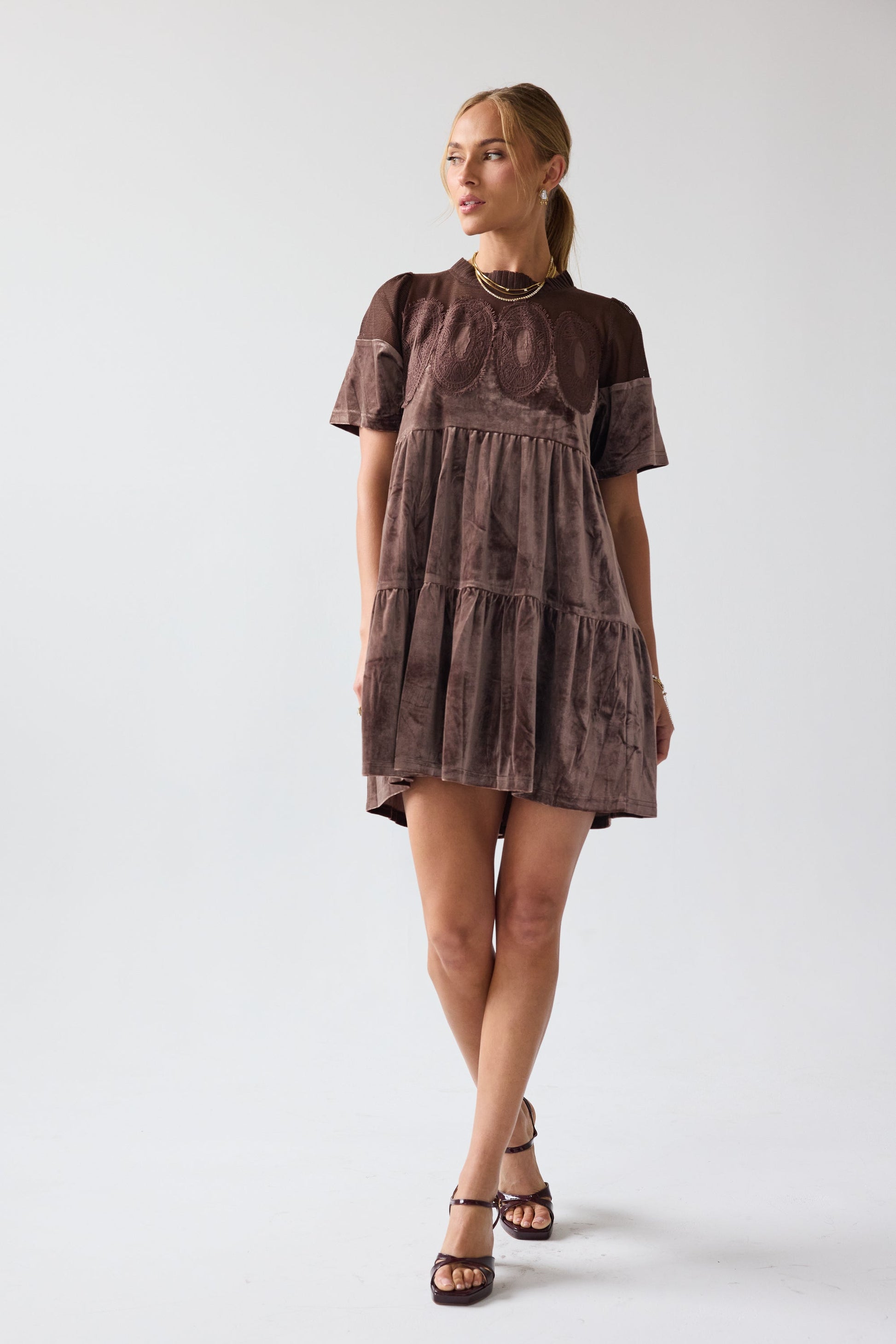 Banks Velvet Mini Dress in Brown - FINAL SALE